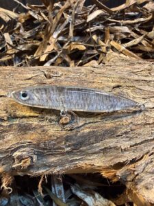 RYGOSY Skialos Premium 95 – Handmade Τεχνητό Spinning 95mm 19.5g - product image