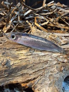 RYGOSY Skialos 95 Natural Handmade – Sinking Pencil Spinning 95mm 19.5g - product image