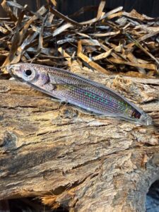 RYGOSY Skialos 95 Natural Handmade – Sinking Pencil Spinning 95mm 19.5g - product image