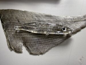 RYGOSY Handmade Drift Premium Real Fish Skin - product image